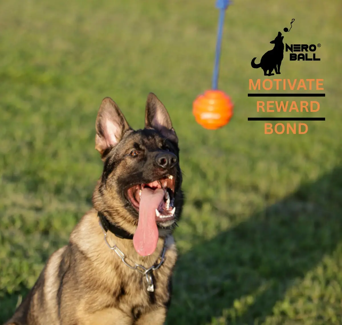 The Nero Ball Pro K-9 Dog Training Ball on Rope – 2.75″ Heavy-Duty Natural Rubber Reward & Tug Toy with Nylon Handle - view 3