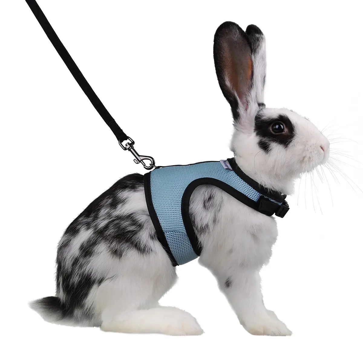 Niteangel Adjustable Soft Harness with Elastic Leash for Rabbits (L, Blue) | Escape-Proof Mesh Vest for Small Pets - main product image