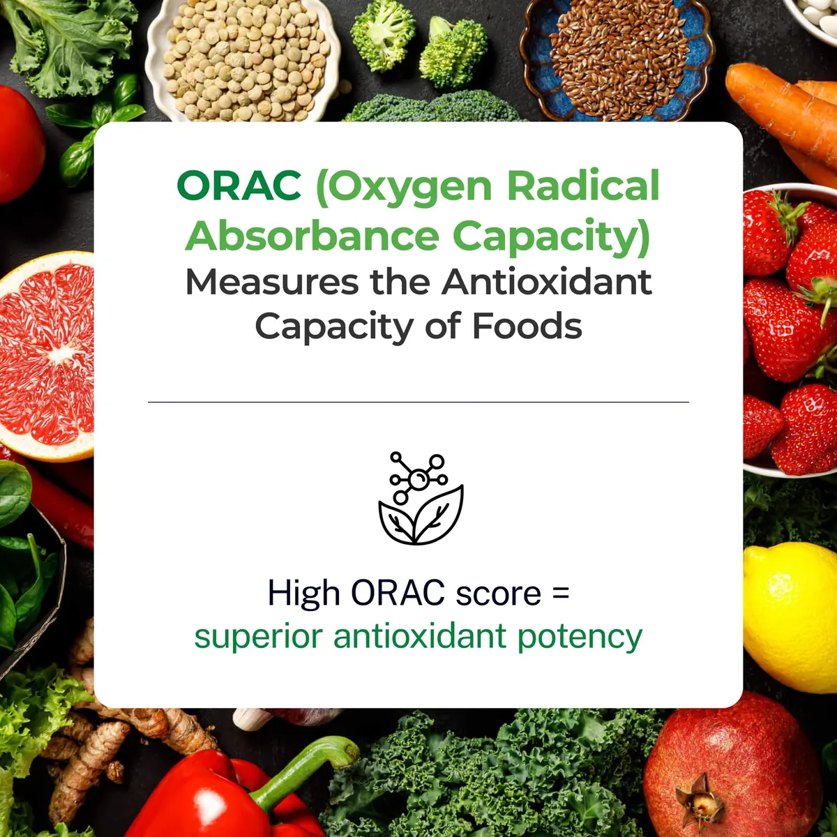 Paradise Herbs & Essentials ORAC Energy Greens Powder, 3.2 Ounce | Antioxidant & Superfood Support for Daily Wellness - view 4