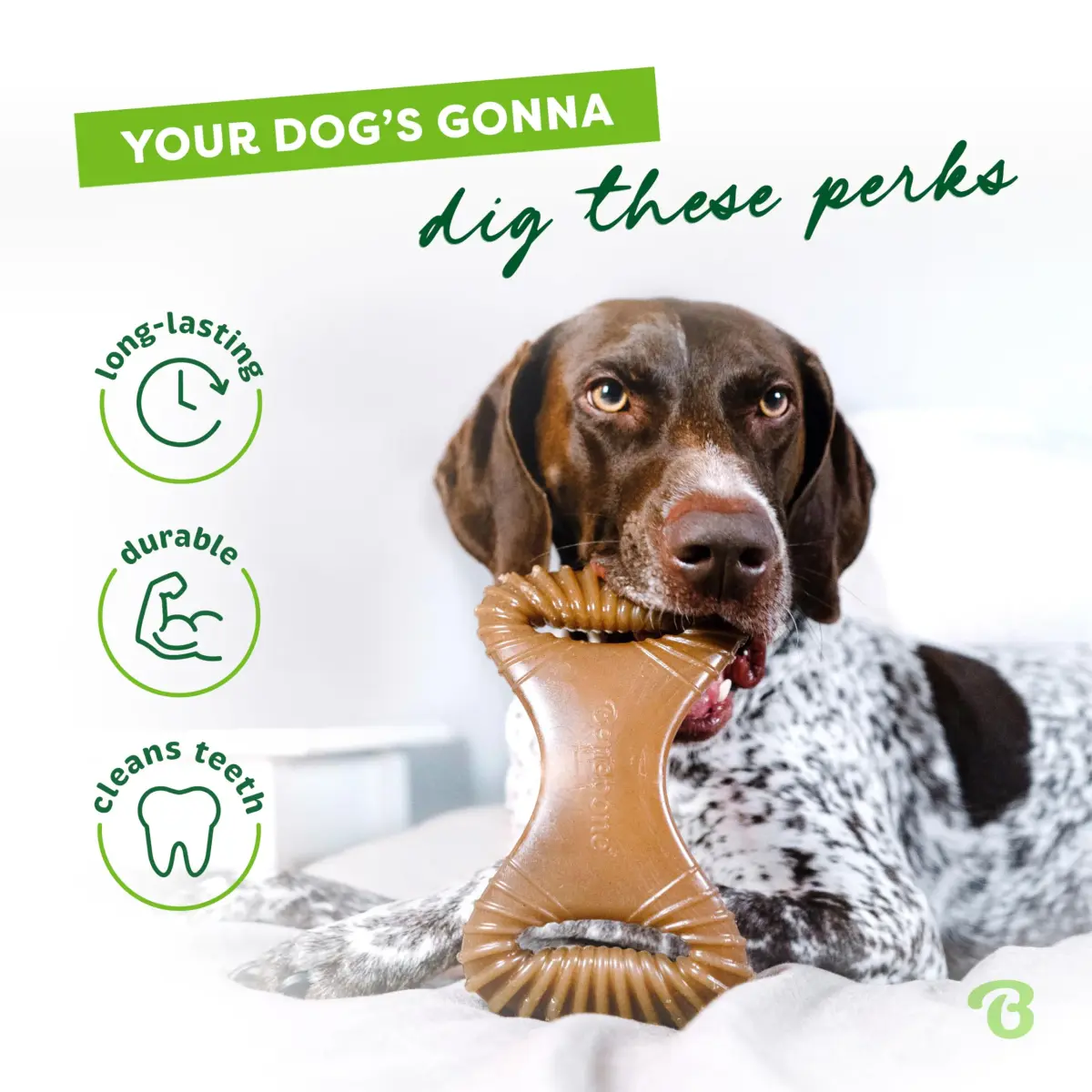 Benebone Real Chicken Dental Chew Toy for Small Aggressive Chewers, Made in USA - view 3
