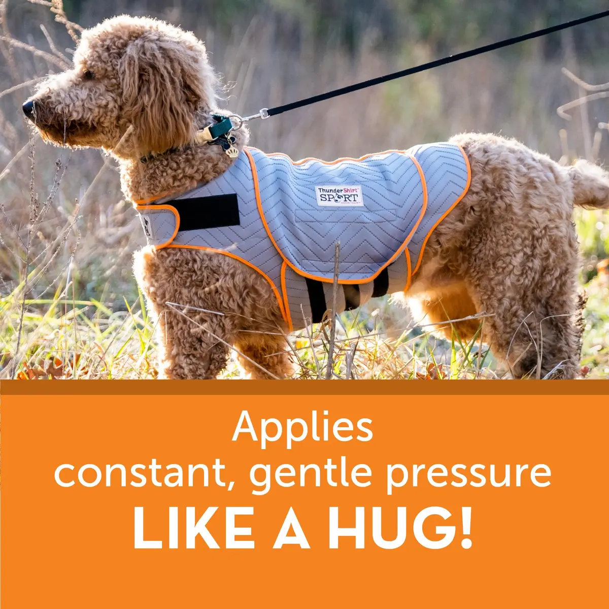 Thundershirt Dog Anxiety Vest XX-Small Platinum Sport | Calms Separation Anxiety & Fear - view 5