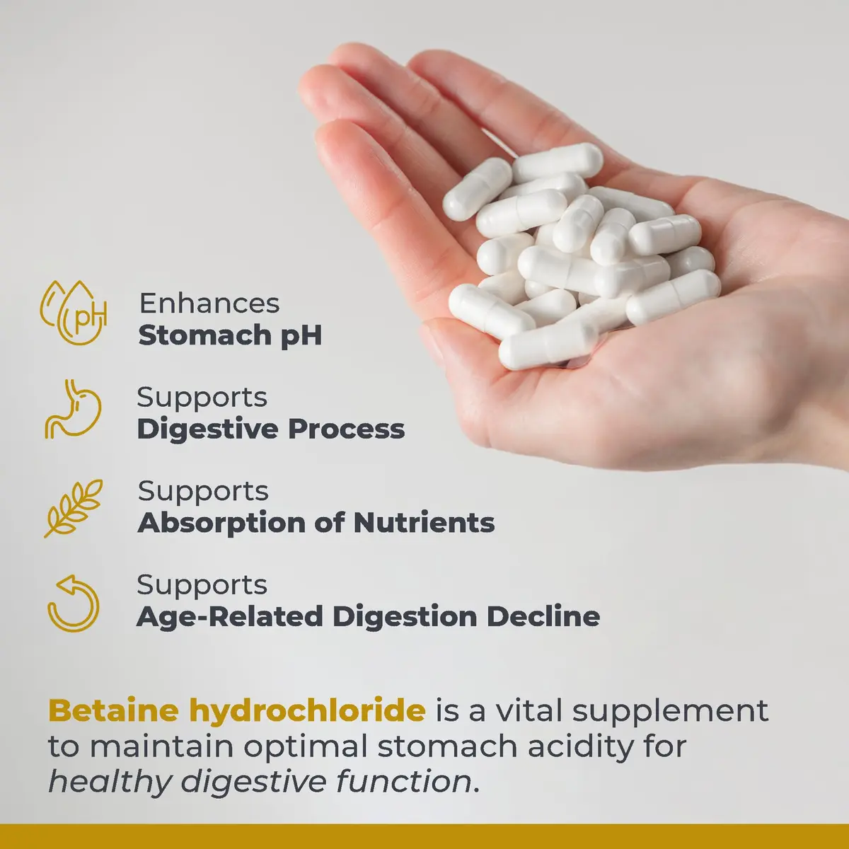 Premier Research Labs Premier HCL - 90 Vegetarian Capsules (2 Pack) | Supports Digestive Wellness & Nutrient Absorption - view 4