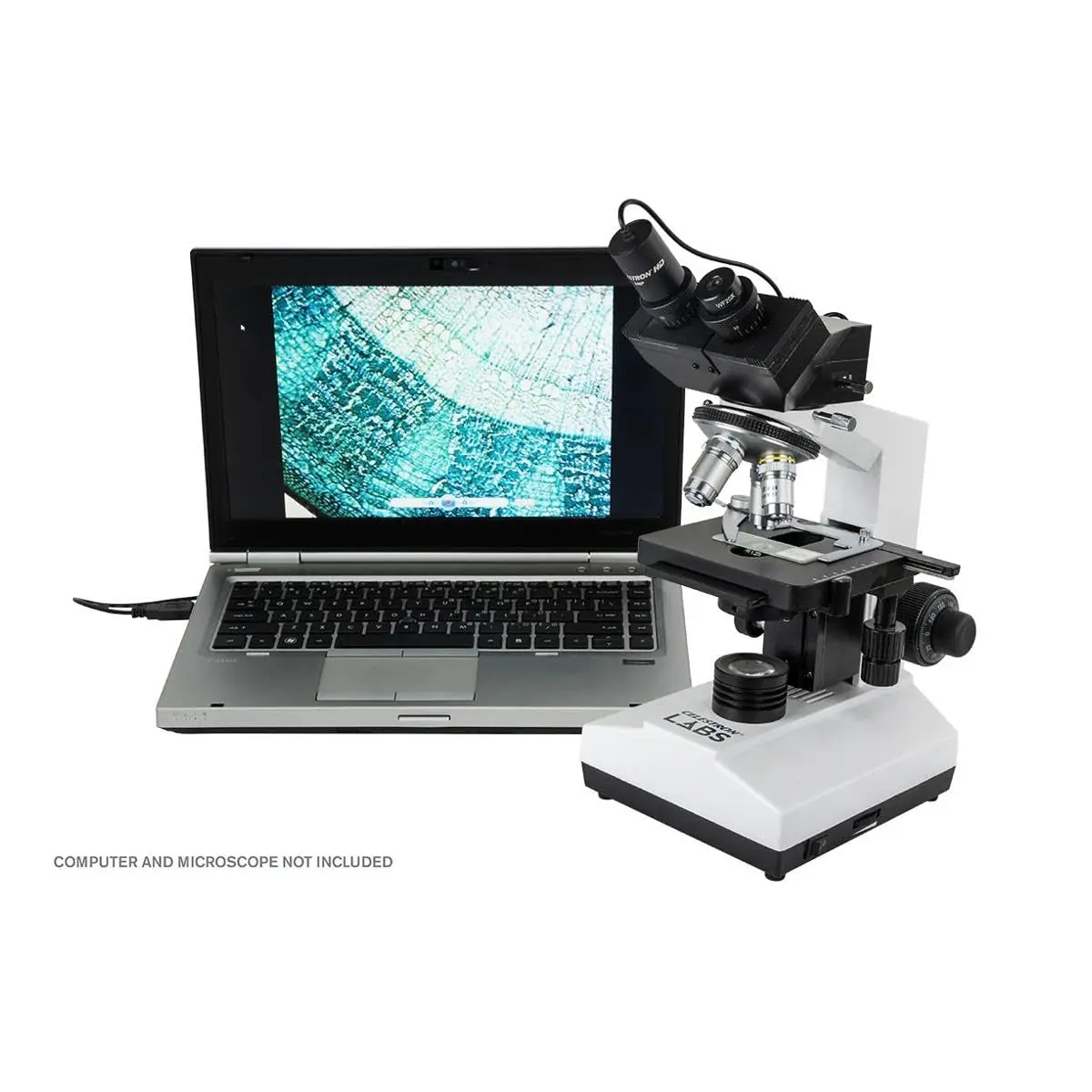 Celestron 5MP Digital Microscope Imager 16.5cm (6.5in) | High-Resolution Imaging for Traditional Microscopes - view 8