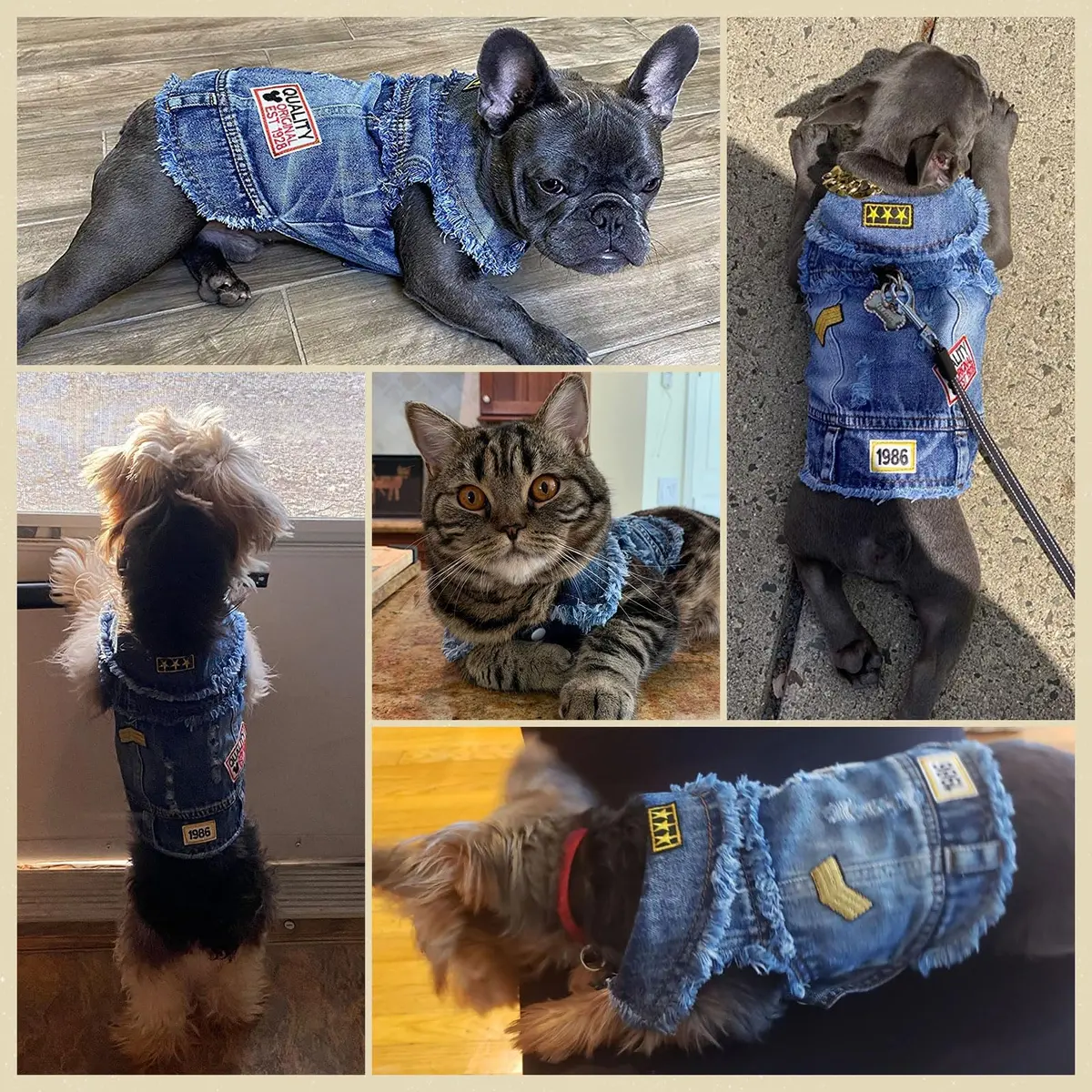 DOGGYZSTYLE Cool Dog Jean Jacket Small Puppy Outfit Blue Print M | Stylish & Comfortable - view 6