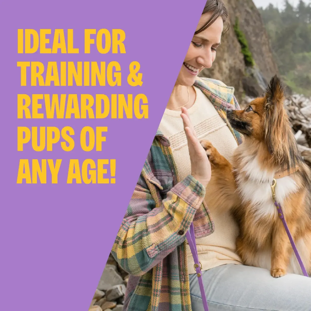 Wellness Crunchy Puppy Bites Dog Training Treats, Grain Free Chicken & Carrot Recipe, 170g (6 oz) | DHA for Brain Development - view 2