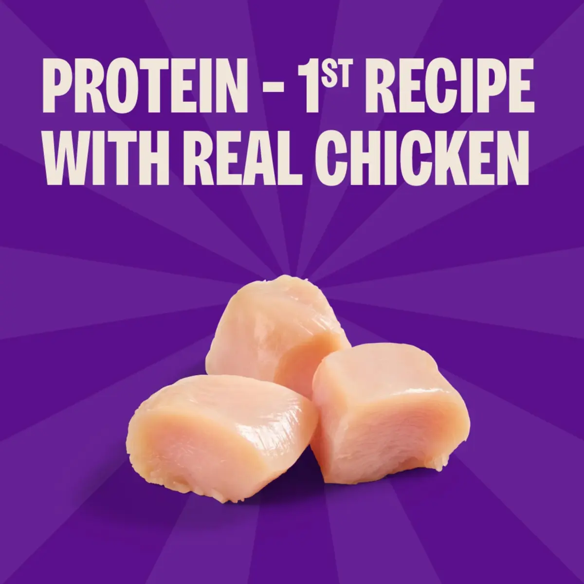 Wellness Crunchy Puppy Bites Dog Training Treats, Grain Free Chicken & Carrot Recipe, 170g (6 oz) | DHA for Brain Development - view 3