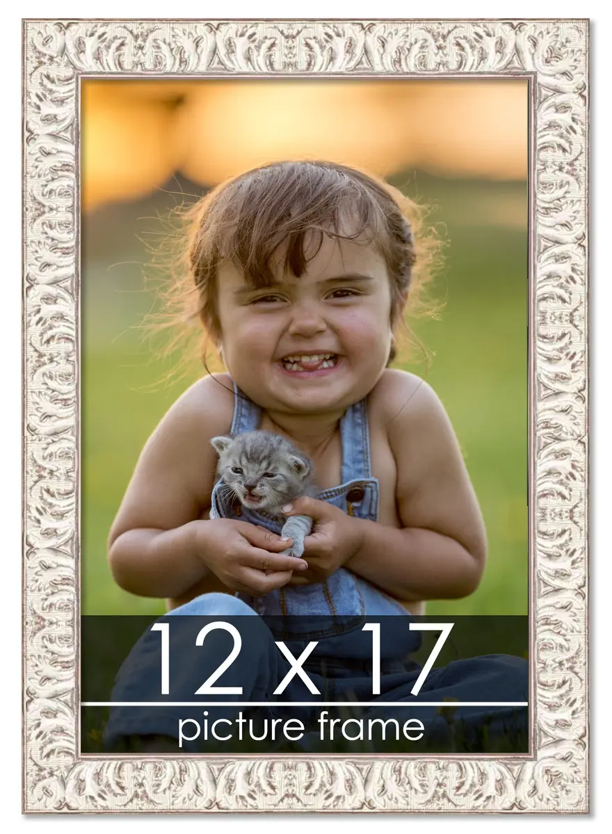 Poster Palooza 12x17 Frame Gold Ornate Whitewashed Wood | UV Acrylic, Foam Back, Hardware Included - main product image