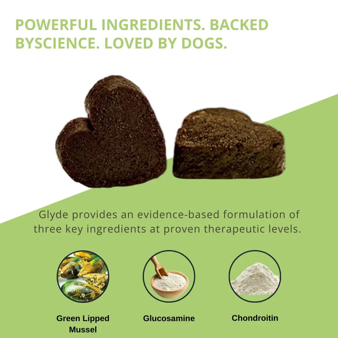 GLYDE Glyde Mobility Chews for Dogs - 120 Soft Chews | Support Joints & Mobility - view 5