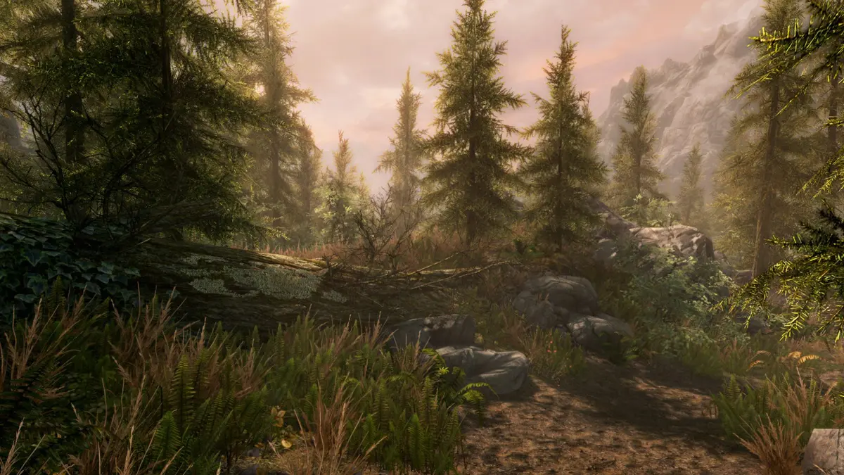 Bethesda The Elder Scrolls V Skyrim Special Edition Xbox One | Epic Fantasy, Remastered Graphics, Mods Support - view 2