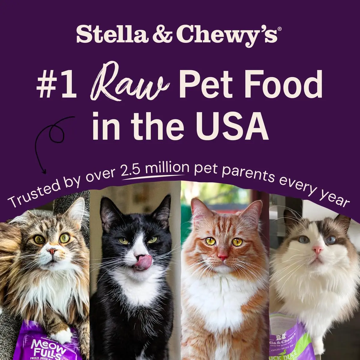 Stella & Chewy's Freeze-Dried Raw Cat Dinner Morsels Turkey Recipe 227 g (8 oz) | 98% Farm-Raised Meat & Organs - view 7