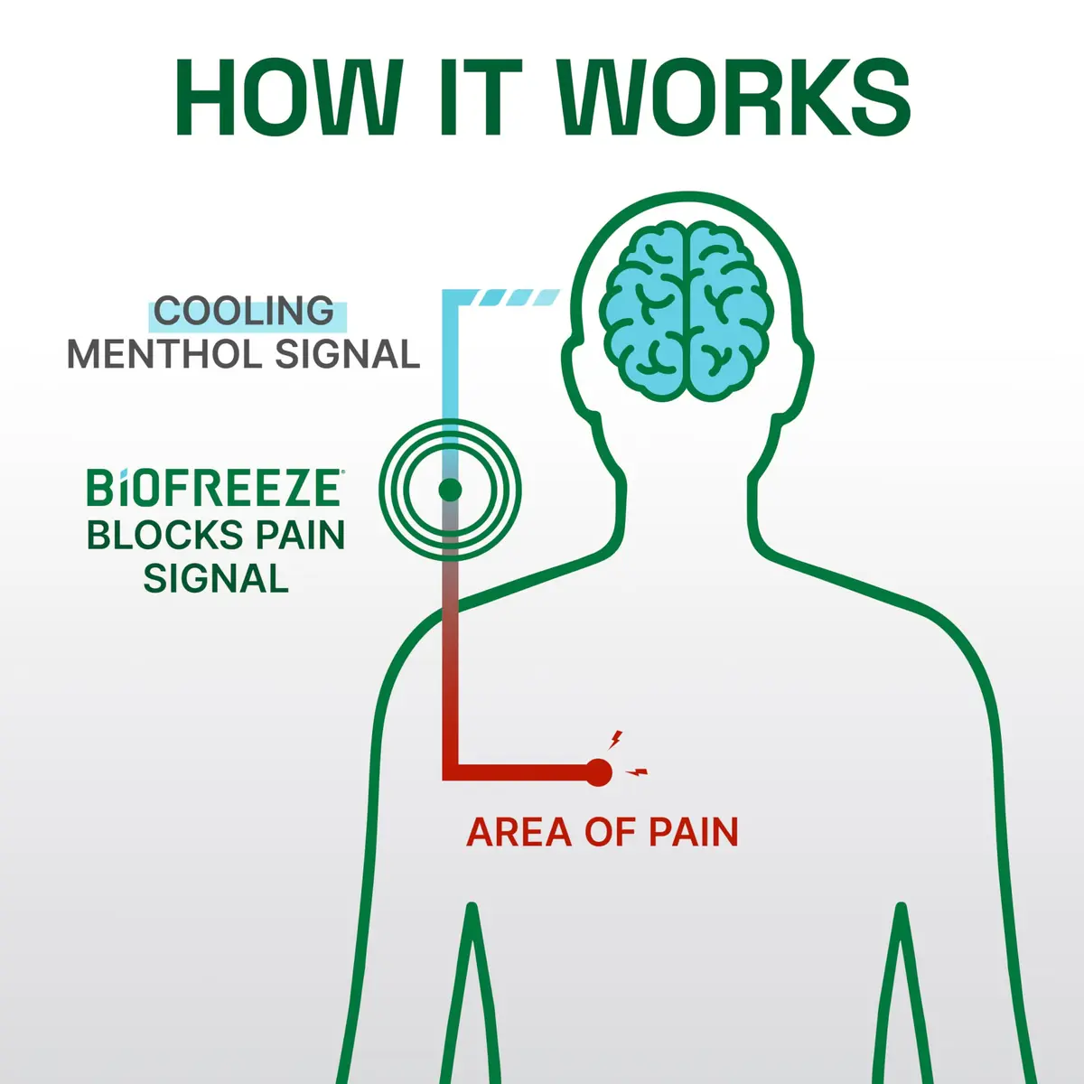 Biofreeze Professional Strength Pain Relief Gel, 16 Fl Oz | Menthol Cooling Formula for Muscles & Joints - view 8