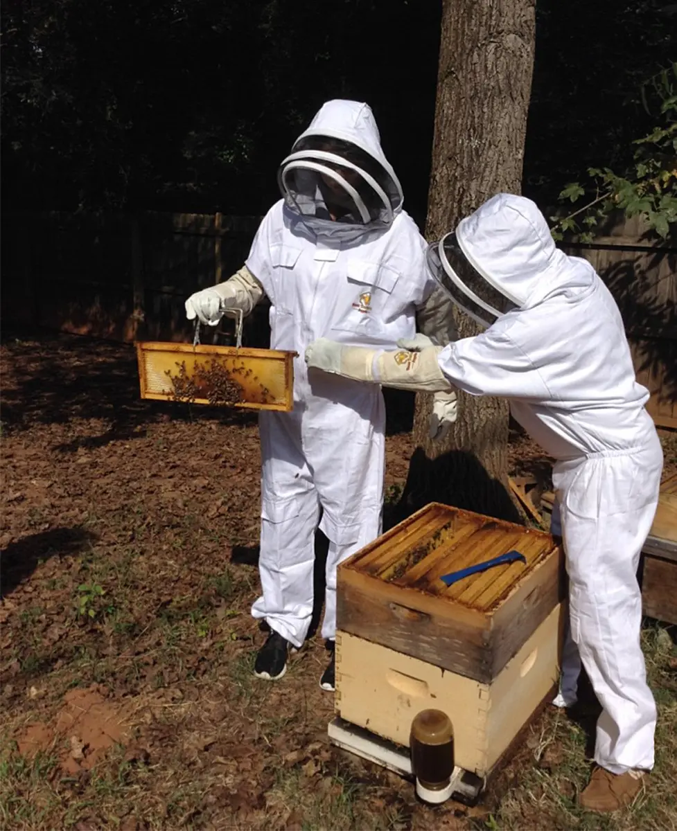 Buzz Beekeeping Supplies Medium Ventilated Bee Gloves - Cow Leather & Heavy-Duty Canvas, Elastic Cuffs | Sting Proof, Long Sleeves - view 3
