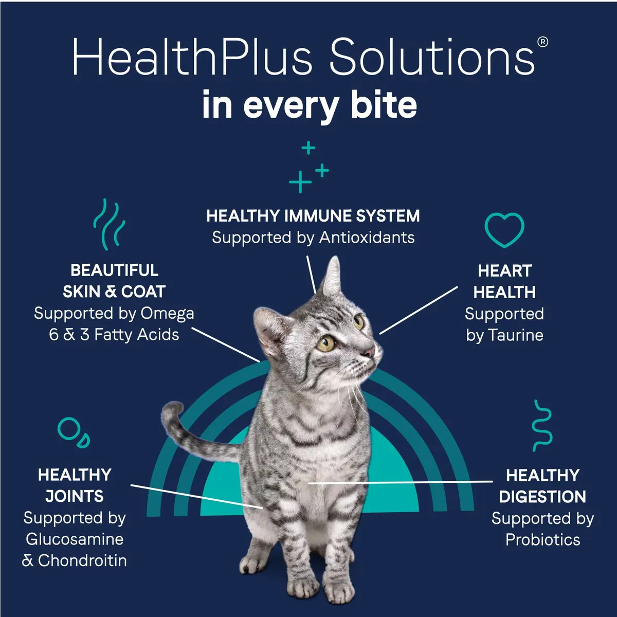 CANIDAE Pure Goodness Dry Cat Food, Real Chicken, 5 lb | Grain-Free, Limited Ingredient, Hypoallergenic - view 7