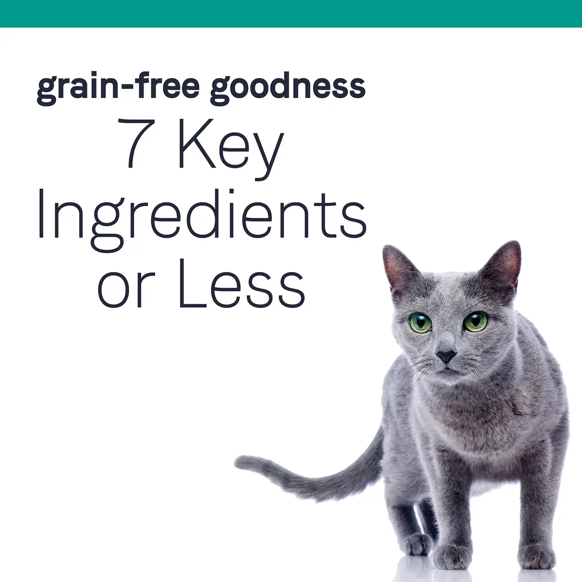 CANIDAE Pure Goodness Dry Cat Food 10 lb | Grain-Free, Real Chicken, Sensitive Stomach Support - view 5
