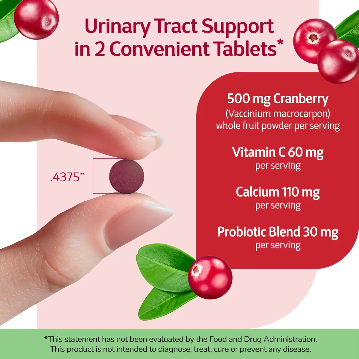 21st Century Cranberry Plus Probiotic Tablets - 60 Count, Pack of 12 | Urinary & Digestive Support - view 5