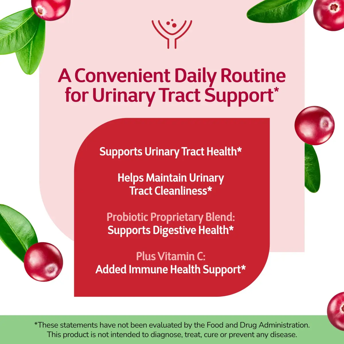 21st Century Cranberry Plus Probiotic Tablets - 60 Count, Pack of 12 | Urinary & Digestive Support - view 3