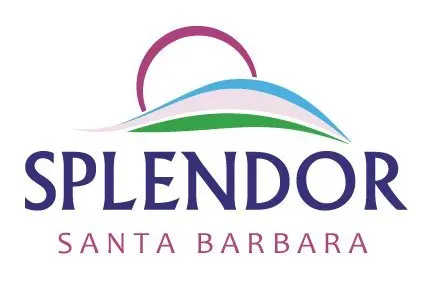Splendor Santa Barbara Natural Soap for Men (10.5 oz) – Handmade Cold-Process Bars with Oils, Shea Butter & Clays – Long-Lasting Outdoors Mountain Scent - view 8