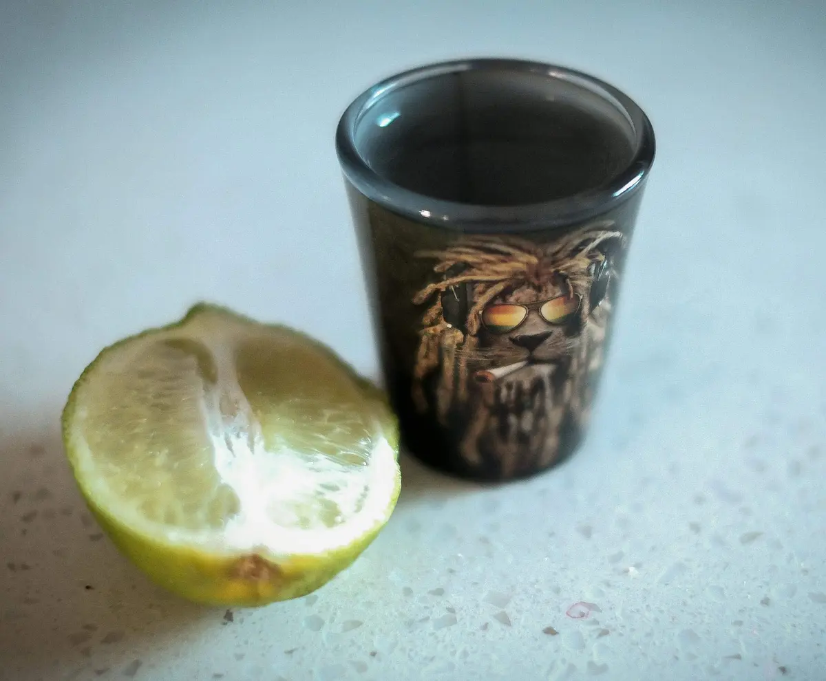 JUST FUNKY Reggae Lion 2oz Shot Glass | Animal Theme, Durable Glass, Hand Wash Only - view 3