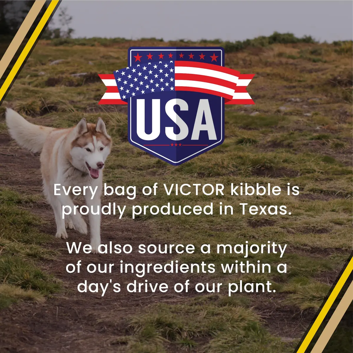 VICTOR Multi-Pro Gluten Free Dry Dog Food - Beef, Chicken & Pork, 30 lb | Multi-Protein, All Breeds & Life Stages - view 9