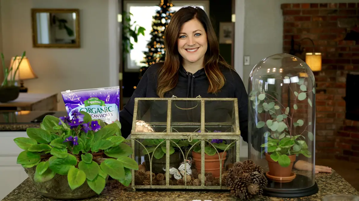 Espoma Organic Violet! 8oz Plant Food | Organic Fertilizer & Bloom Booster for Indoor Violets - view 7