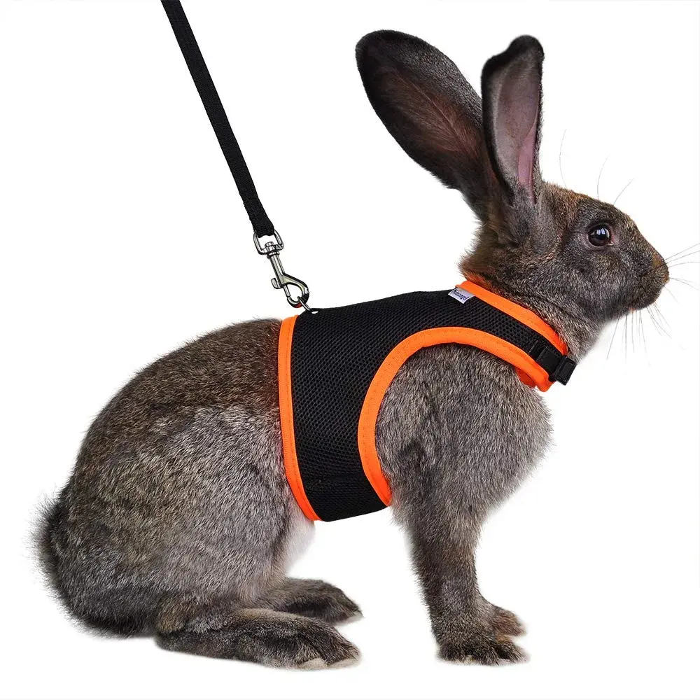 Niteangel Adjustable Soft Harness with Elastic Leash for Rabbits (L, Black) | Escape-Proof & Breathable Mesh - main product image