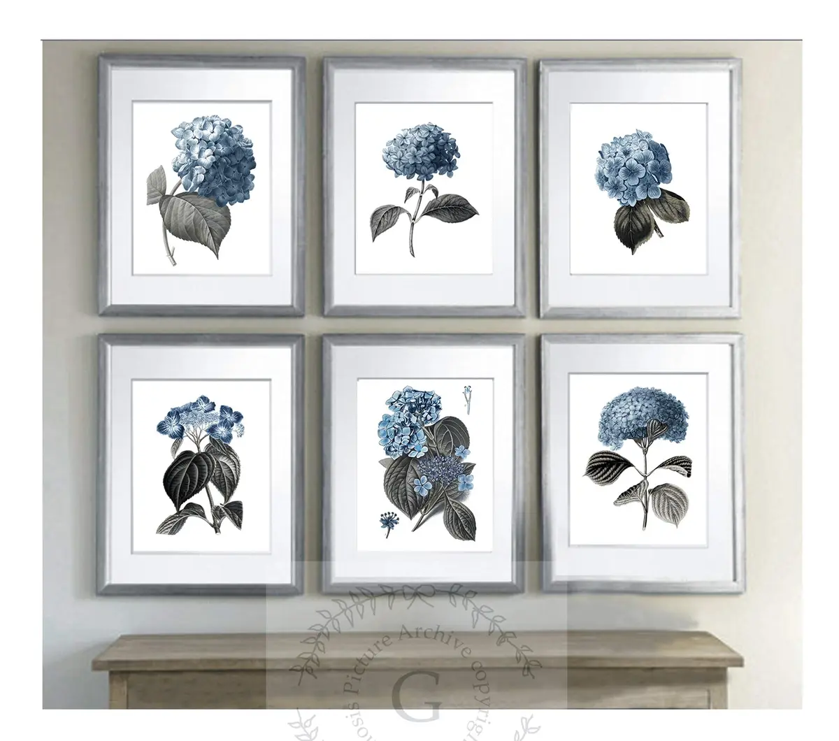 Gnosis Picture Archive Blue Hydrangea Botanical Art Prints Set of 6 (8x10 inch image on 8.5x11 inch paper) | Antique Floral Gallery Wall Decor - view 4