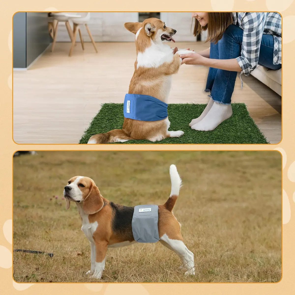 Teamoy Reusable Male Dog Belly Band, Pack of 3 X-Small | Washable Dog Pee Wraps for Spot Marking & Incontinence - view 7