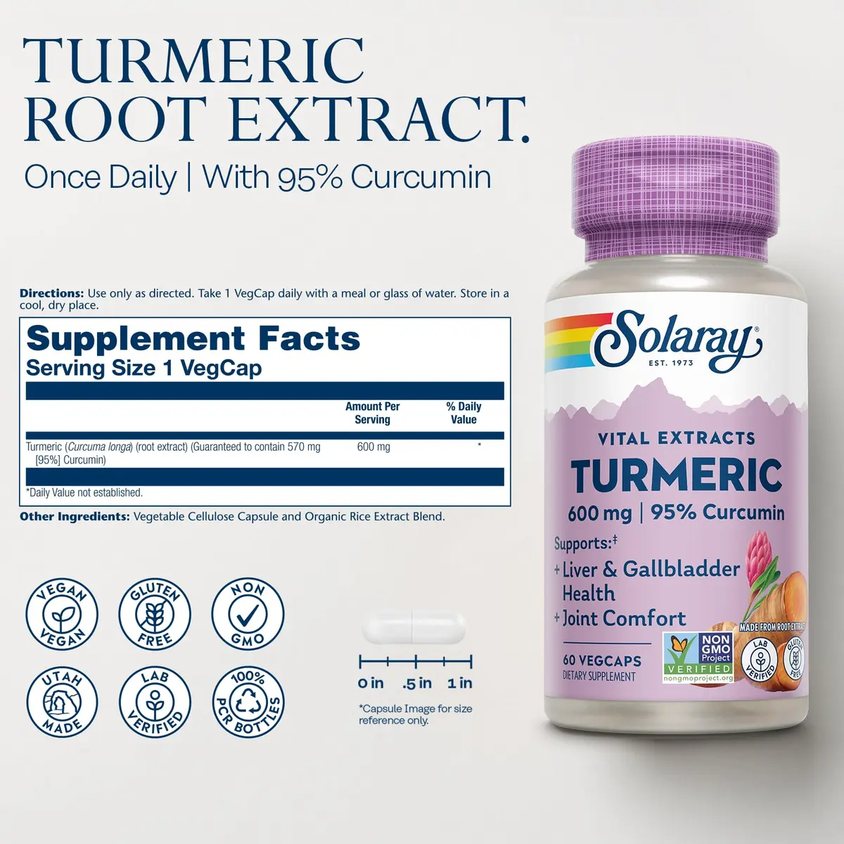 SOLARAY Turmeric One Daily 600mg | Supports Joints & Liver | Vegan, Non-GMO, Made in USA - view 2