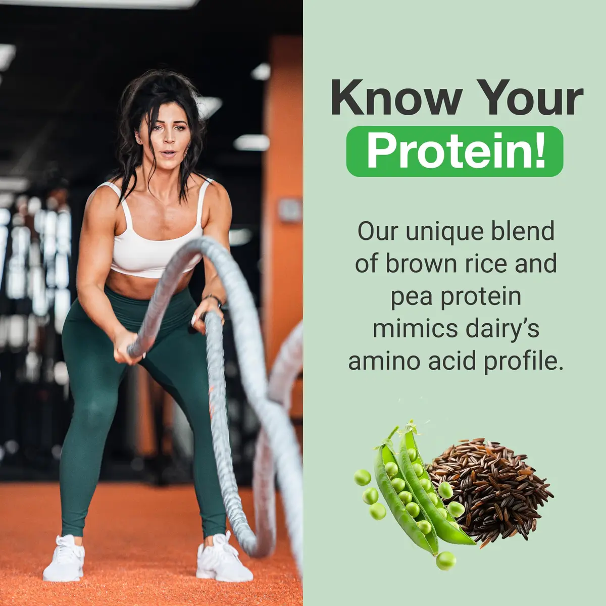 PEScience Select Vegan Protein Powder, Chocolate Bliss, 27 Servings | Plant-Based Muscle Support - view 5