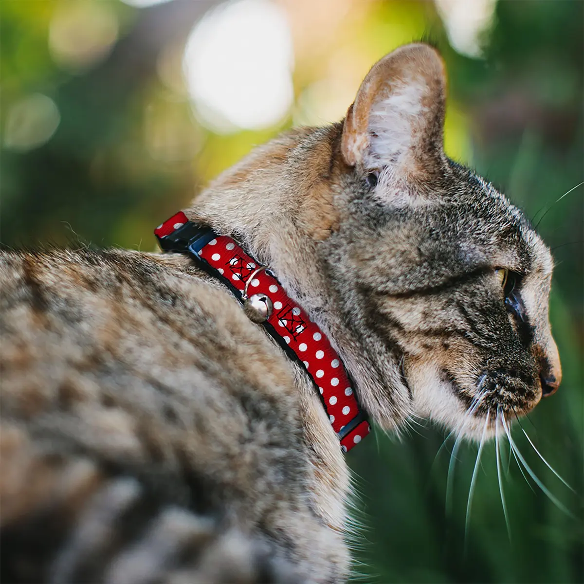 Buckle-Down Disney Breakaway Cat Collar | 8.5-12" Neck, Polka Dots, Multicolor - view 2