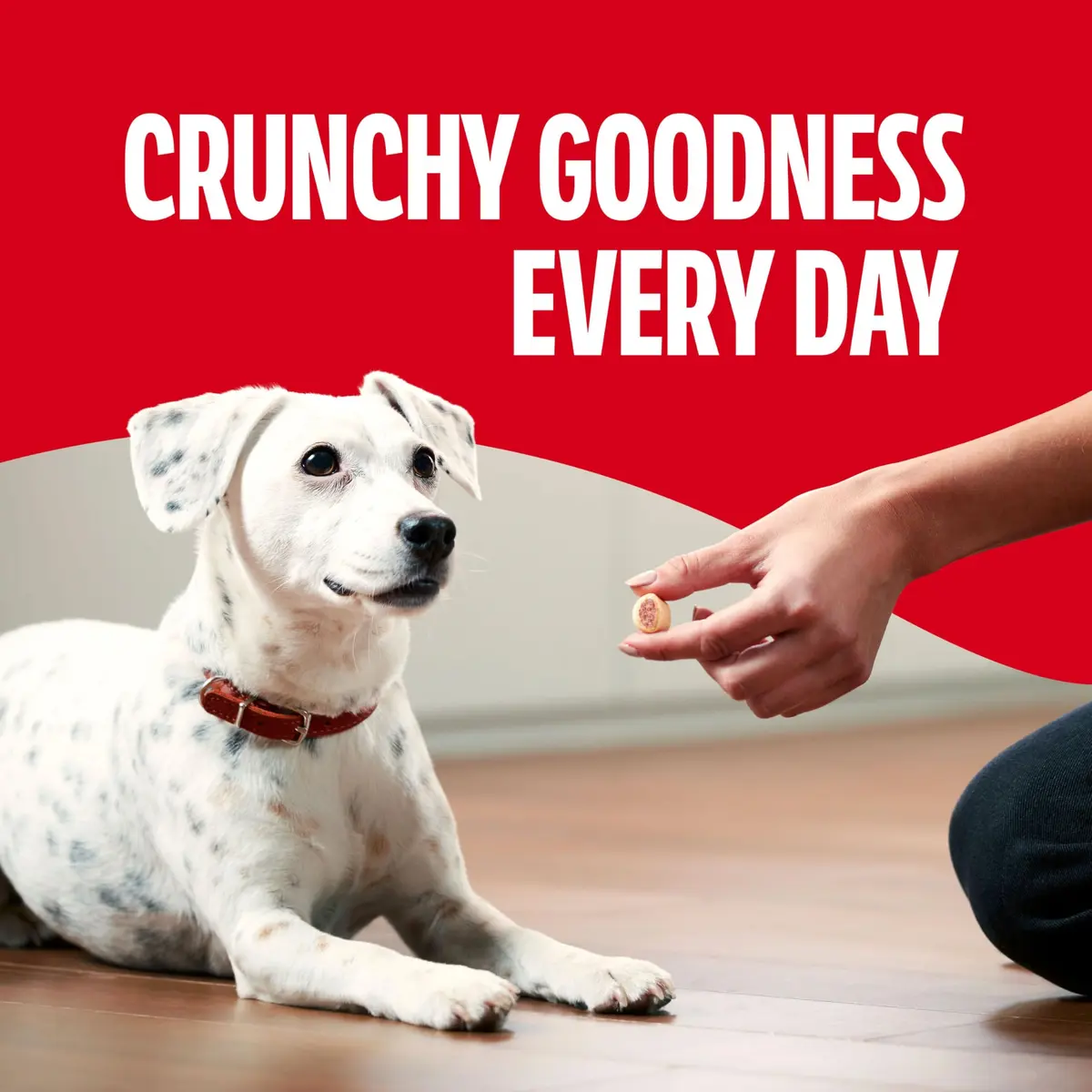 Milk-Bone MaroSnacks Small Dog Treats with Bone Marrow | Crunchy, Nutritious Snack for All Sizes - view 6