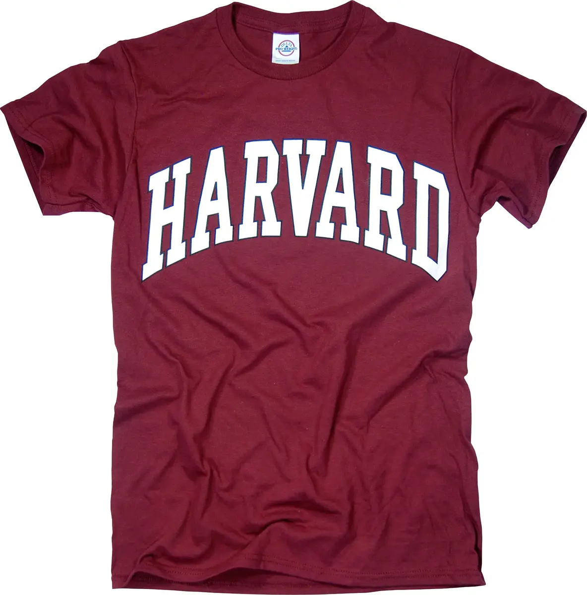 New York Fashion Police Harvard University T-Shirt - Arched Block - Crimson -M | Officially Licensed, Cotton, Medium - main product image