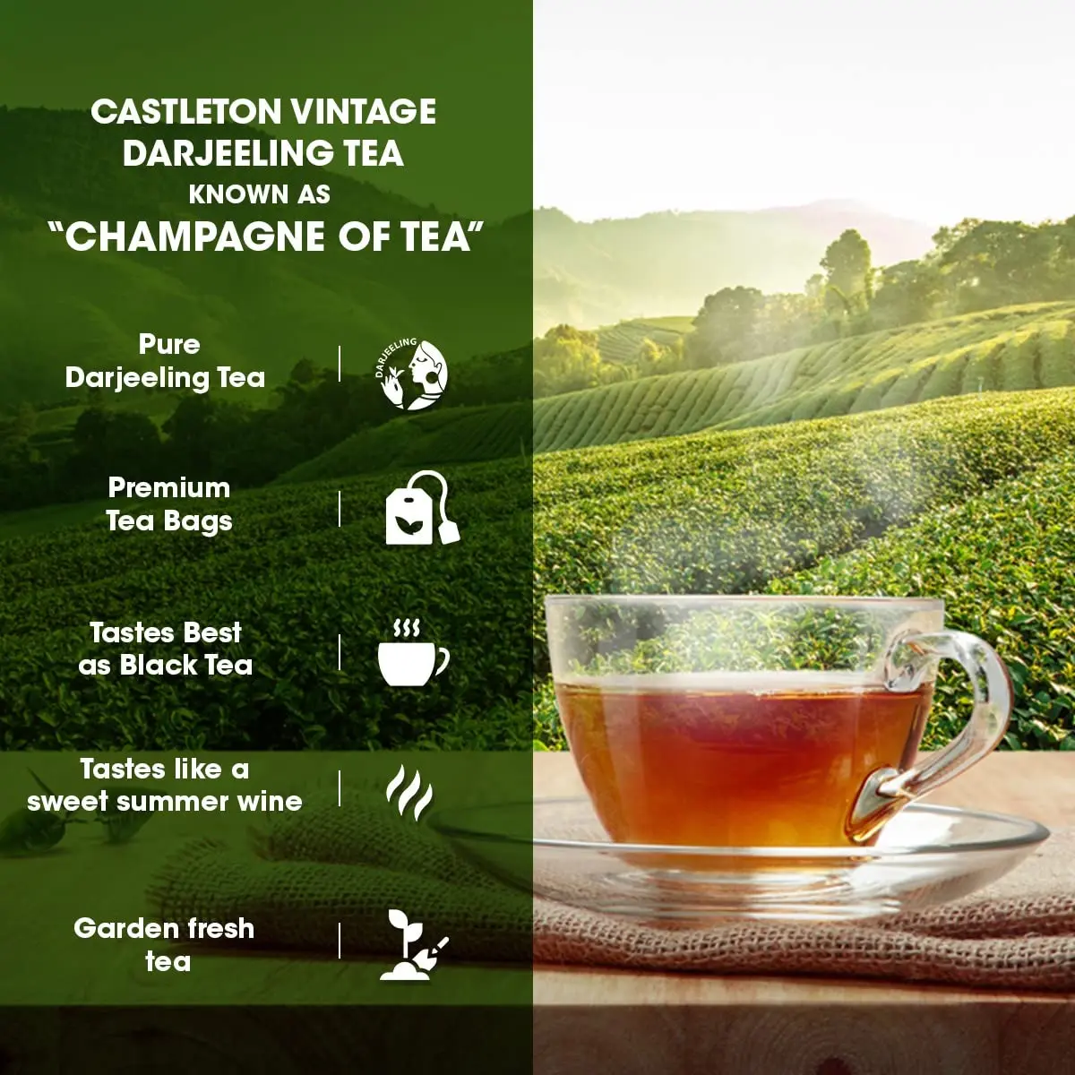 Goodricke Castleton Premium Darjeeling Tea Bags 100 Count | World's 2nd Largest Tea Producer - view 2