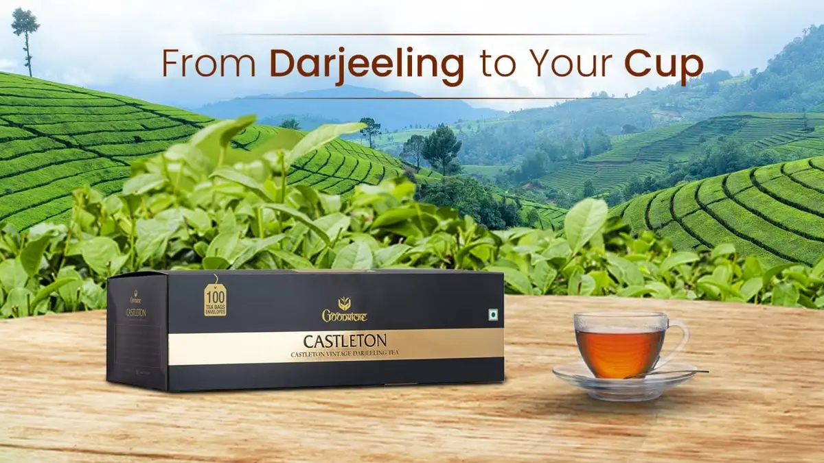 Goodricke Castleton Premium Darjeeling Tea Bags 100 Count | World's 2nd Largest Tea Producer - view 3