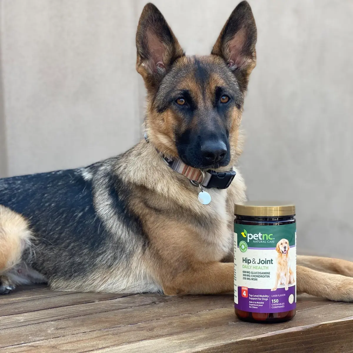 PetNC Natural Care Level-4 Hip & Joint Chews for Dogs, 150 Count | Max Support for Adult Dogs with Glucosamine, Chondroitin, MSM & Manganese - view 5
