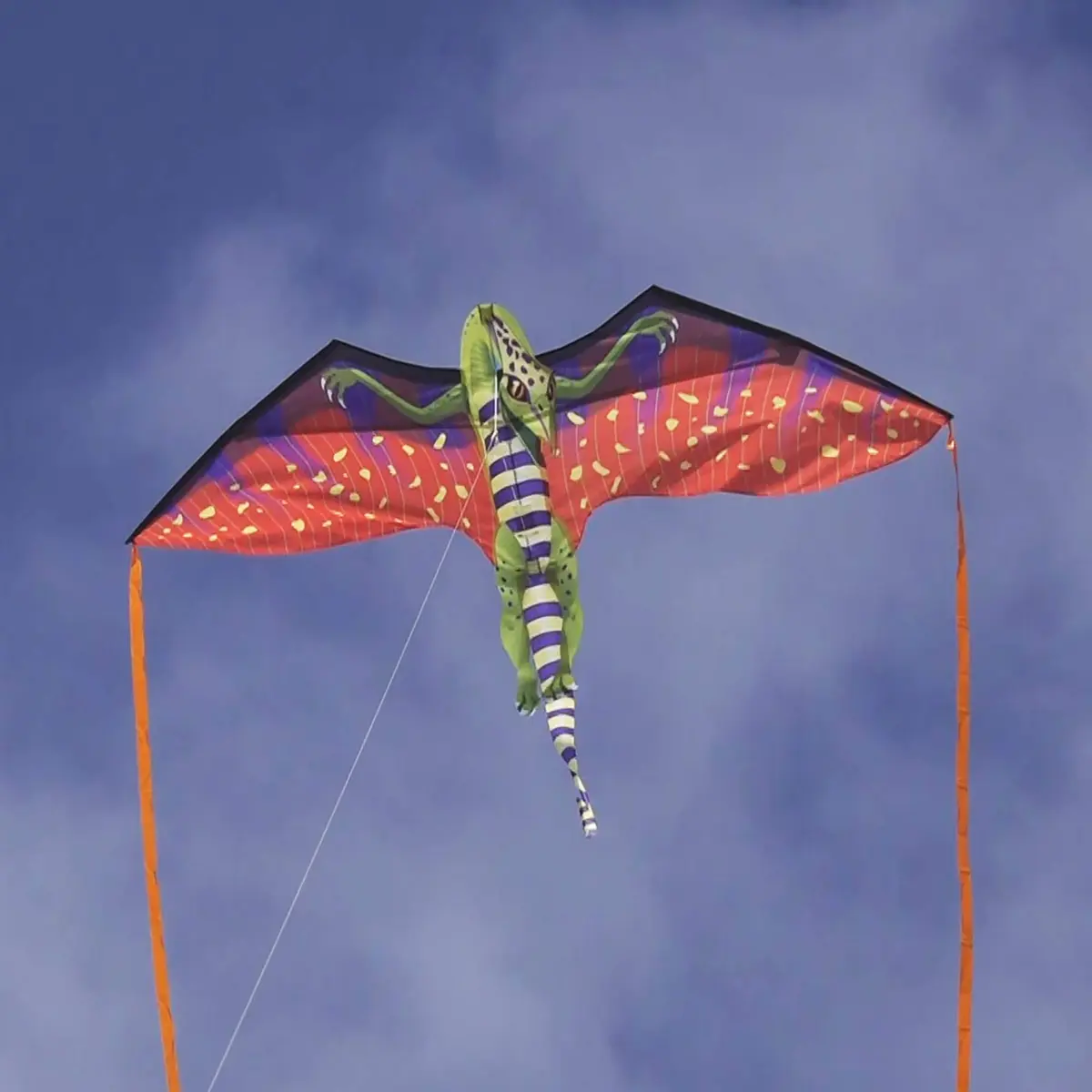 WindNSun Pterodactyl Supersize Kite, Multicolor, 70 Inches Tall | Vibrant Flying Performance - view 6