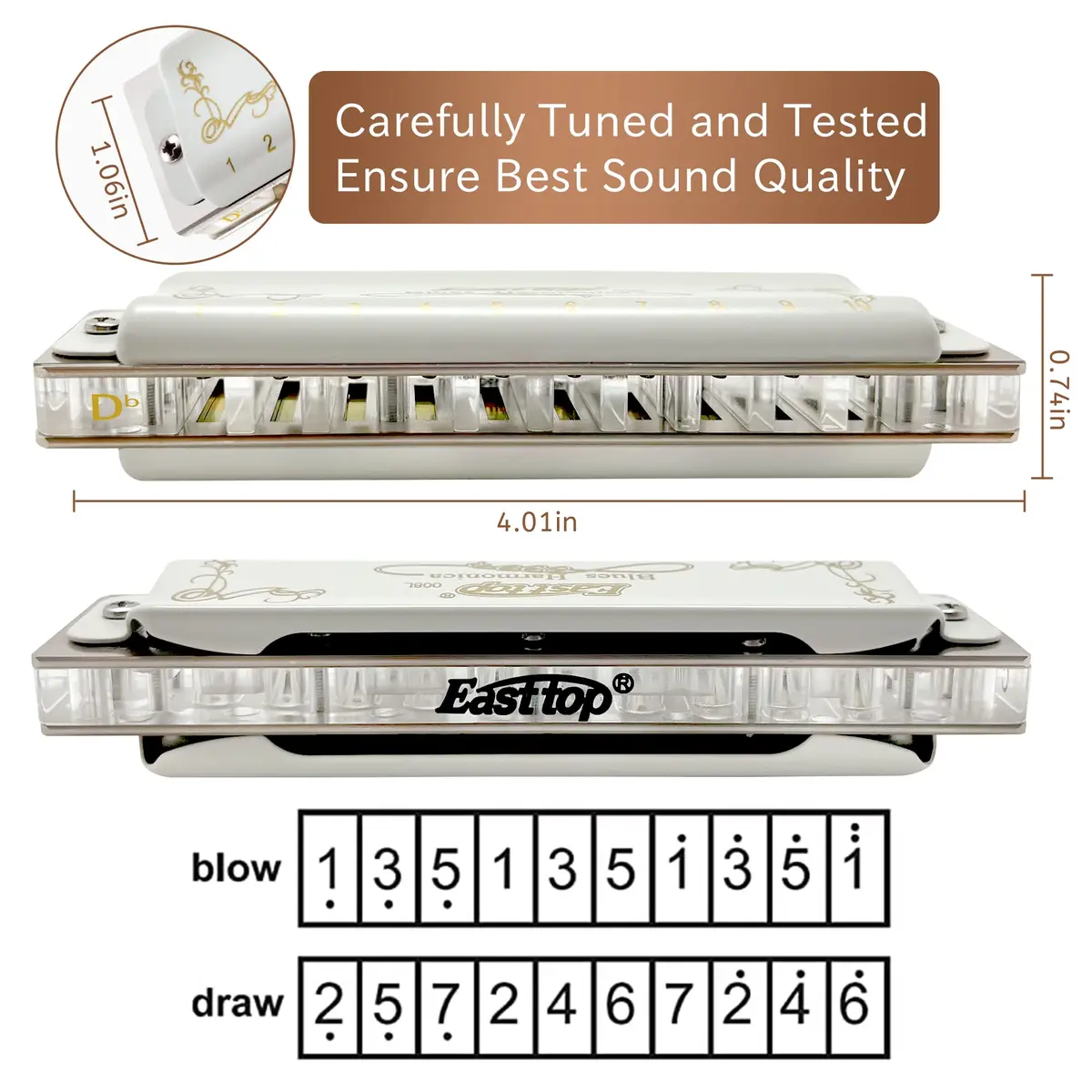 East top Blues Harmonica, 10 Holes 20 Tones Diatonic Mouth Organ, Key of Db | Professional & Beginner Friendly - view 4