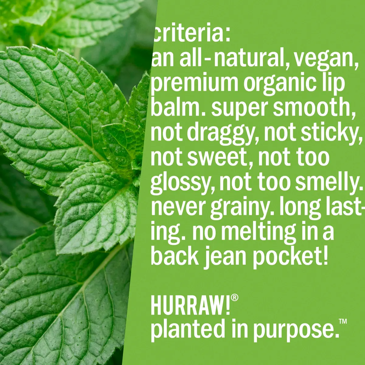 Hurraw! Mint Lip Balm 2 Pack | Organic, Vegan, Cruelty-Free, Made in USA - view 6