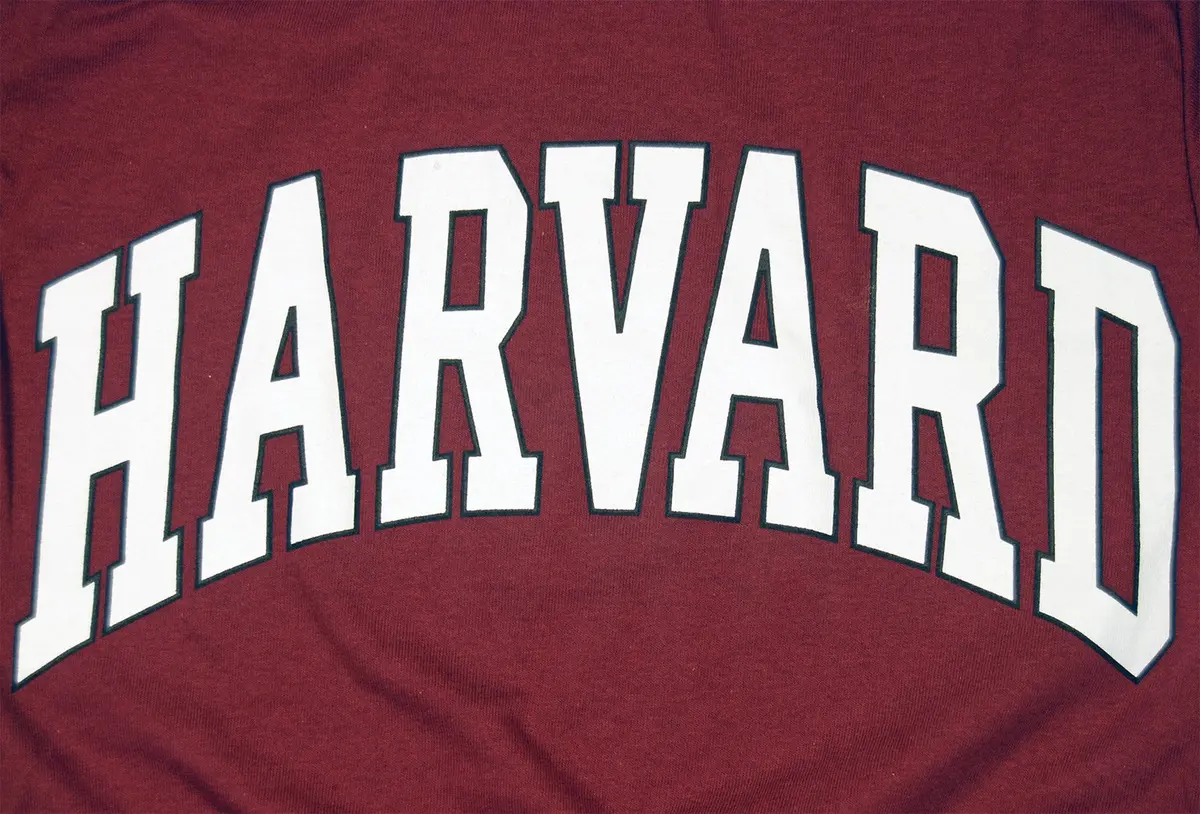 New York Fashion Police Harvard University T-Shirt - Arched Block - Crimson -S | Officially Licensed, Cotton, Small - view 2