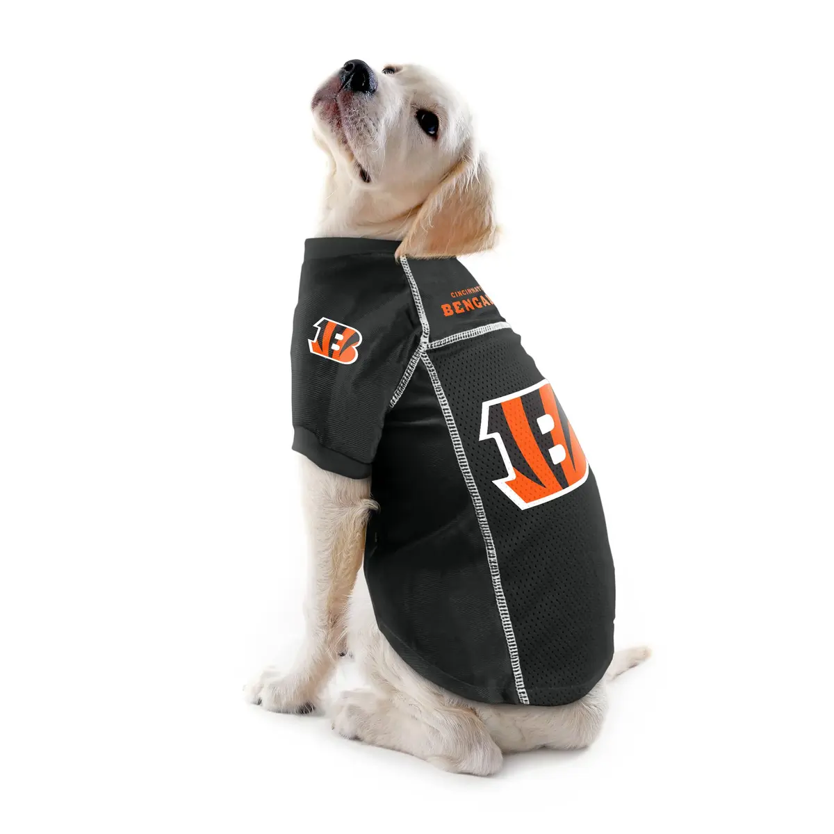 Littlearth NFL Cincinnati Bengals Pet Jersey Small | Team Color, Officially Licensed (70-120 chars) - view 2