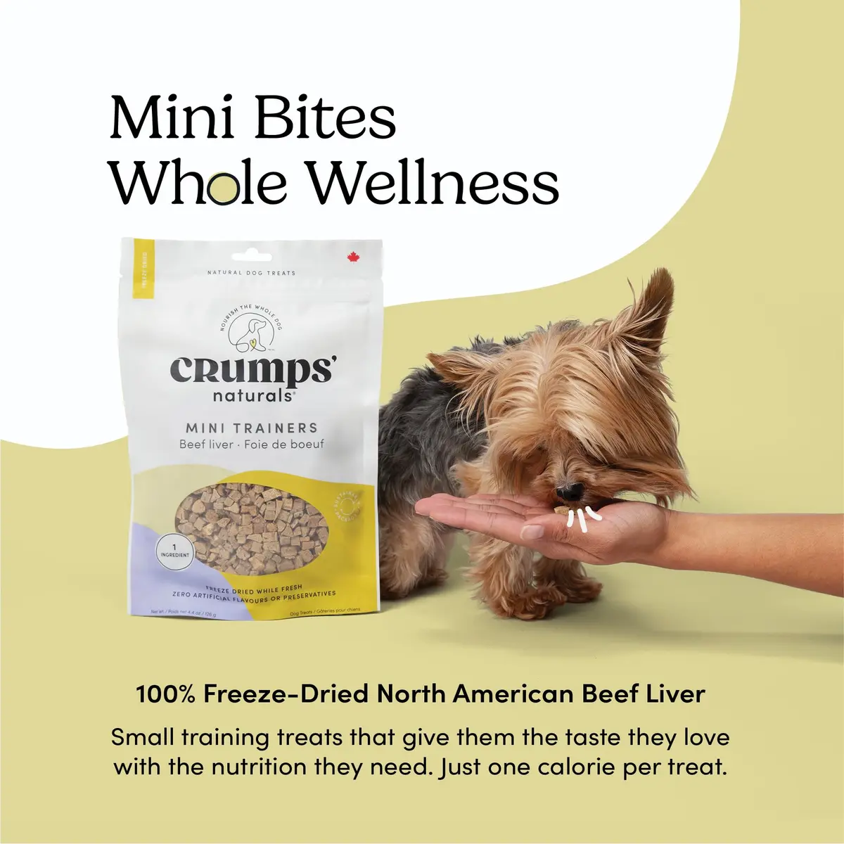 Crumps' Naturals Freeze Dried Beef Liver Mini Trainers, 4.4oz | All-Natural Dog Treats for Training & Rewards - view 2