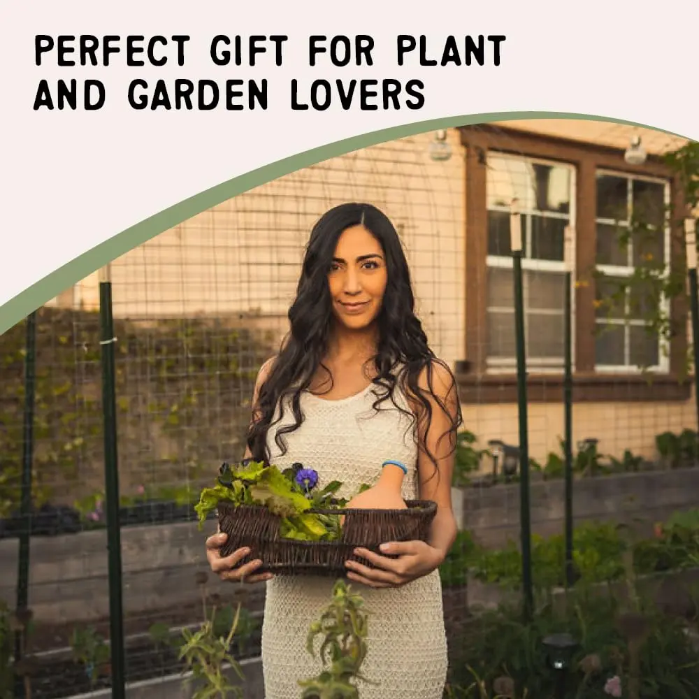 Growoya Large OYA Irrigation Pot for Garden Bed, Raised Planters & Grow Bags | Eco-Friendly Watering Solution (70-120 chars) - view 9