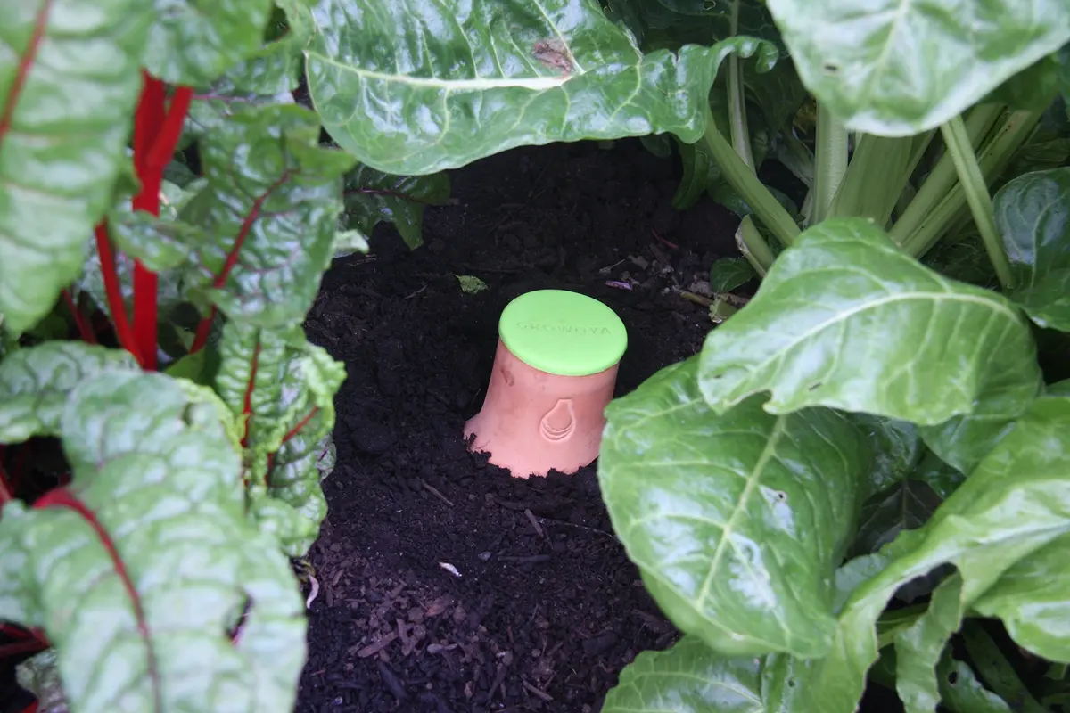 Growoya Large OYA Irrigation Pot for Garden Bed, Raised Planters & Grow Bags | Eco-Friendly Watering Solution (70-120 chars) - view 2