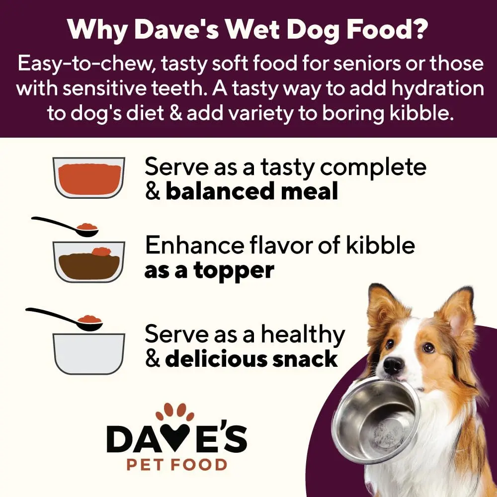 Dave's Pet Food Hip and Joint Support Dog Food, 13.2 oz, 12pk | Supports Mobility & Comfort - view 9