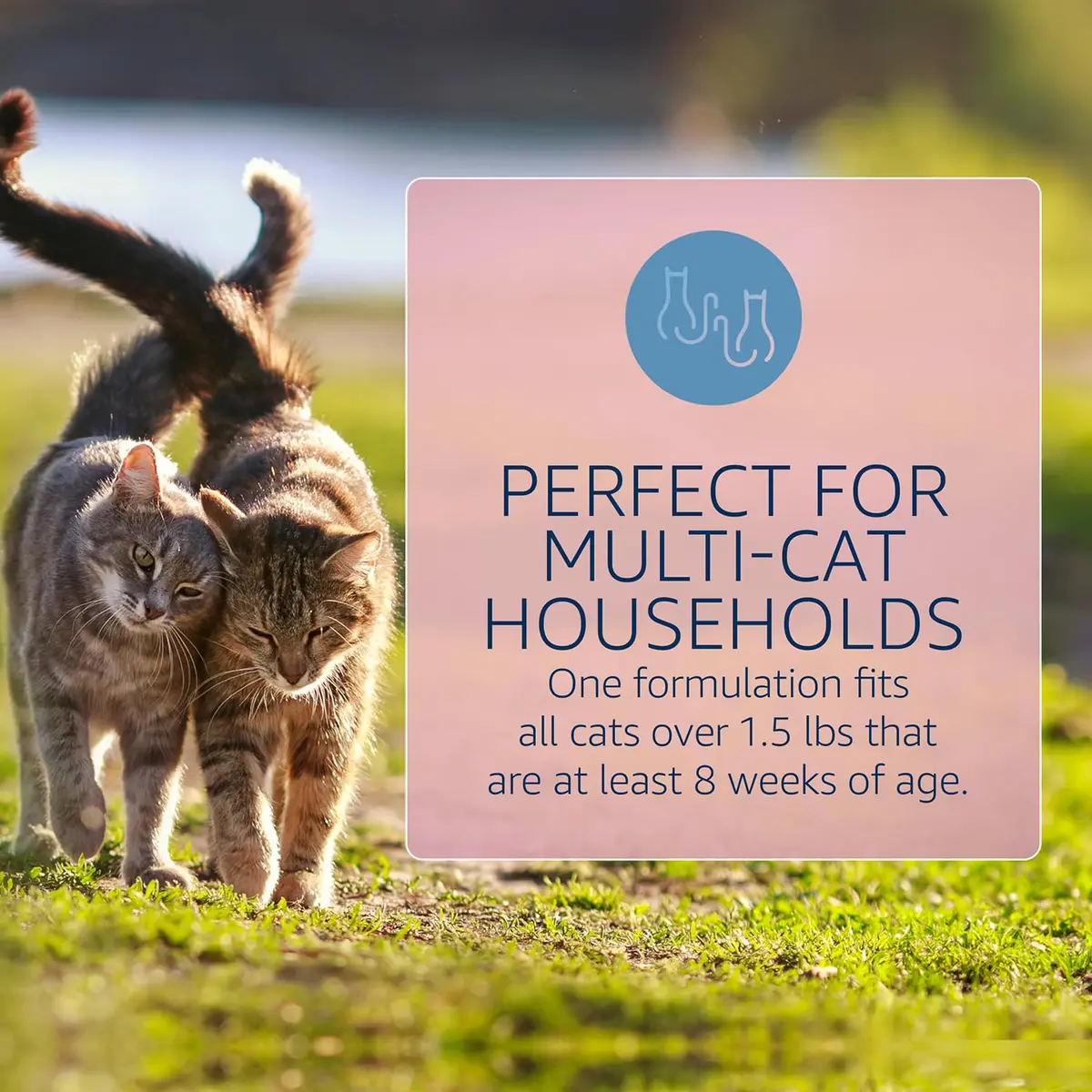 Catego Flea and Tick Prevention for Cats - Over 1.5 lbs, 6 Month Supply | Fast-Acting Flea & Tick Control - view 4