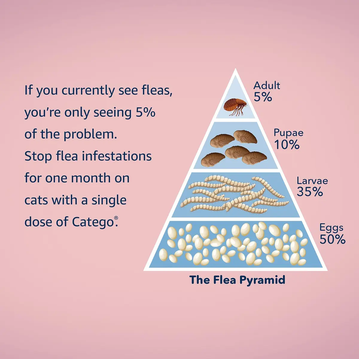 Catego Flea and Tick Prevention for Cats - Over 1.5 lbs, 6 Month Supply | Fast-Acting Flea & Tick Control - view 6