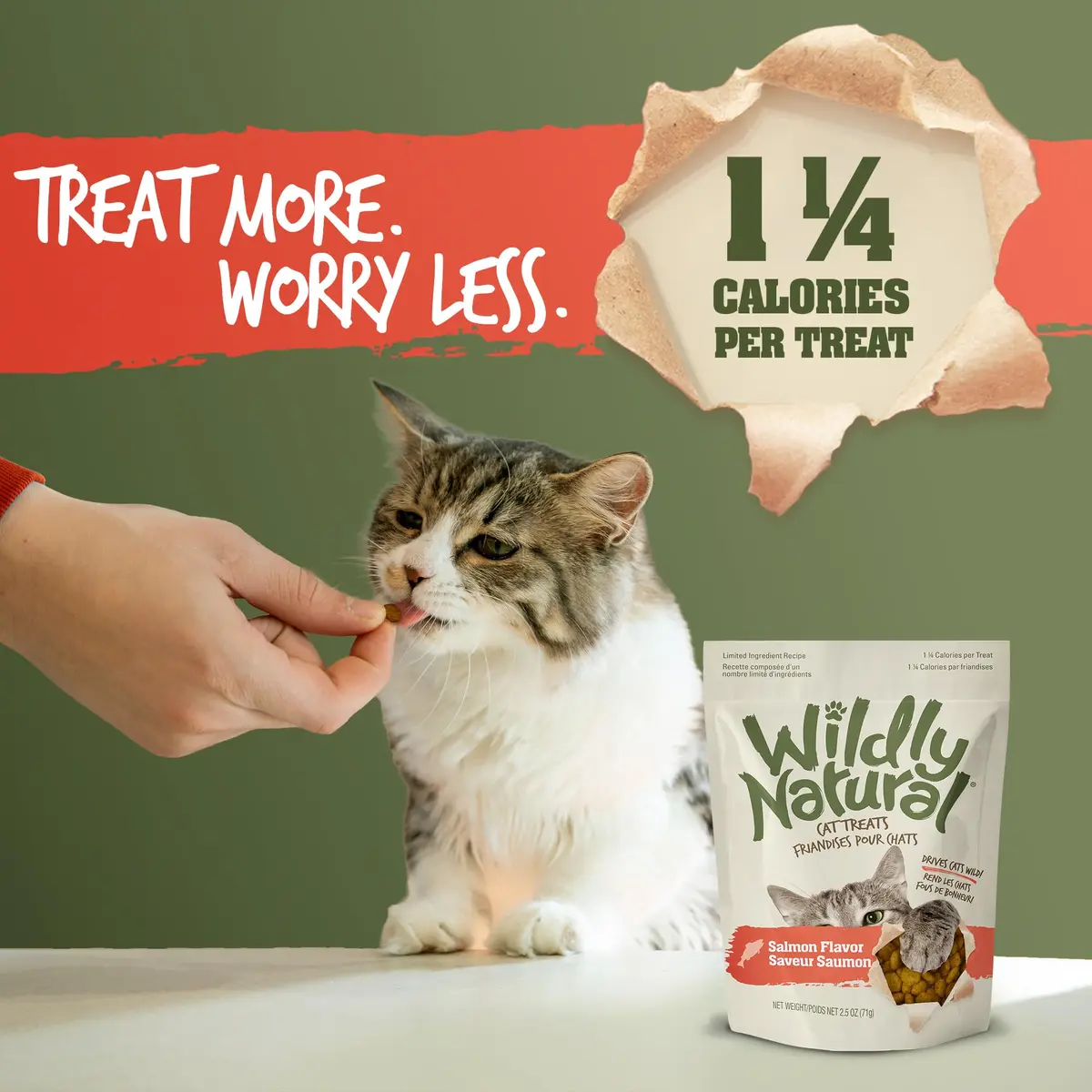 Wildly Natural Salmon Flavor Crunchy Cat Treats | Wholesome, Low-Calorie Snack for Indoor Cats - view 4