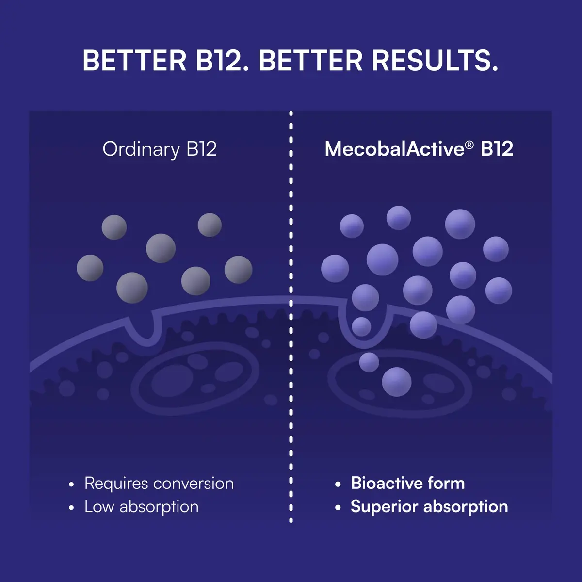 Purity Products Blueberry Probiotic B12 Energy Melt 30 Tablets | Supports Energy & Digestive Health - view 6