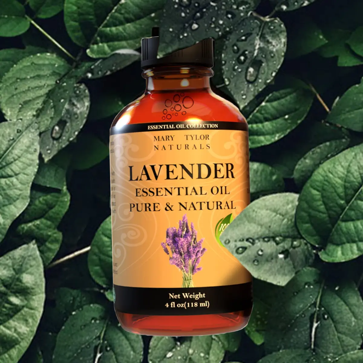 Mary Tylor Naturals Lavender Essential Oil (4 oz) Pure Therapeutic Grade for Aromatherapy, Diffuser, DIY - view 5