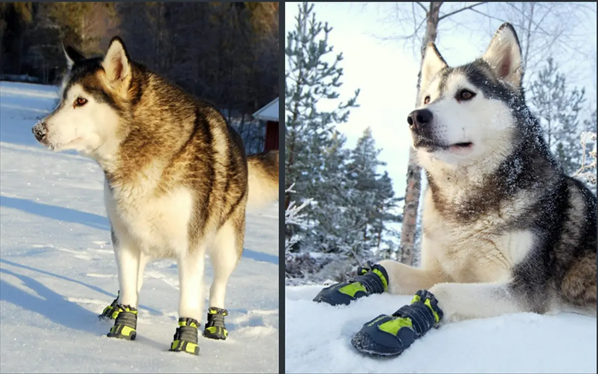 TRUE LOVE Dog Shoes Waterproof Anti-Slip Rain Boots Neon Yellow | Reflective Soft-Shell with Mud Guard (7#) - view 5